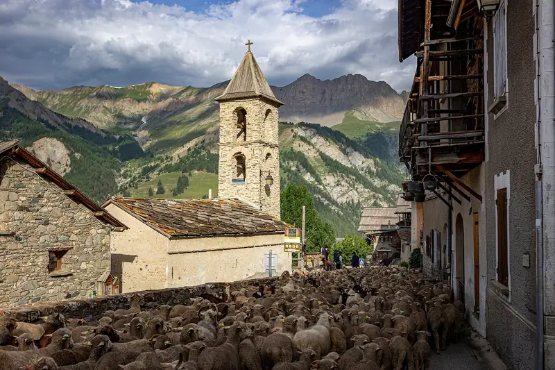 Le temple de Saint-Véran pendant une reproduction de la transhumance lors du festival des traditions en 2024. Un berger de la commune fait faire un tour à son…